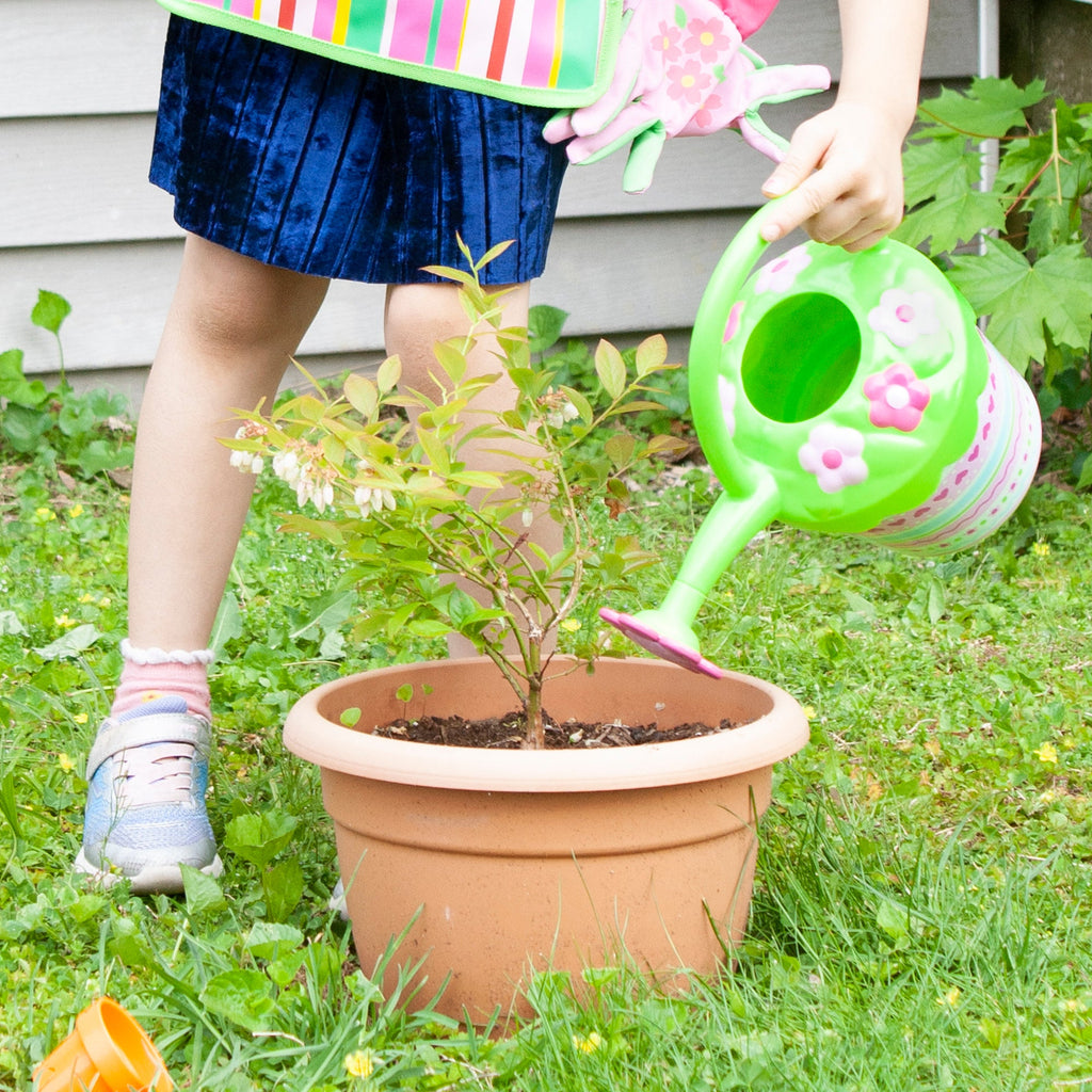 Educational Pretty Petals Watering Can