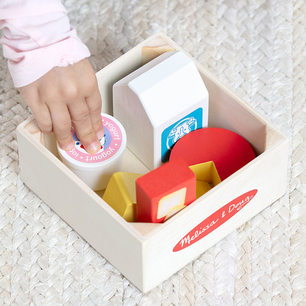 Educational Wooden Food Groups Play Set Dairy