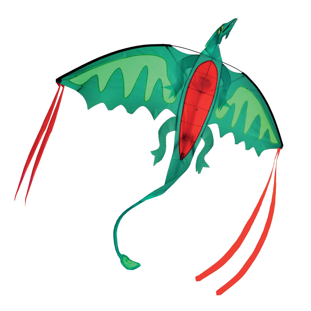 Educational Winged Dragon Shaped Kite