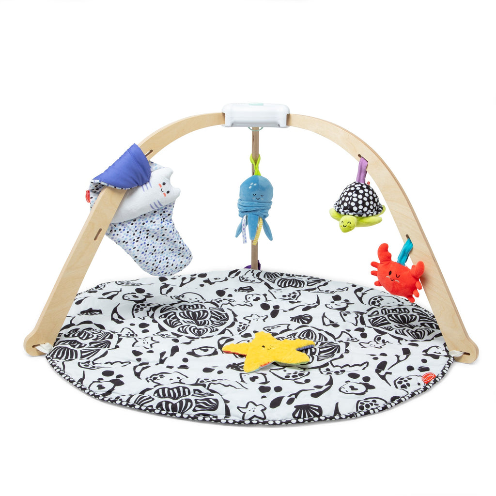 Educational Ocean Easy-Fold Play Gym