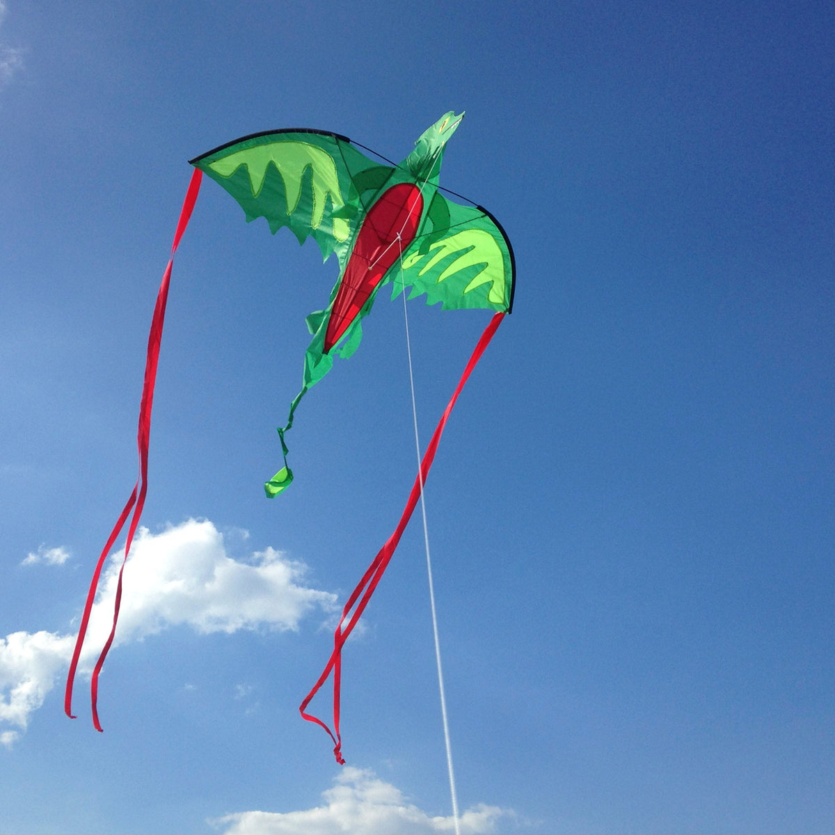 Educational Winged Dragon Shaped Kite