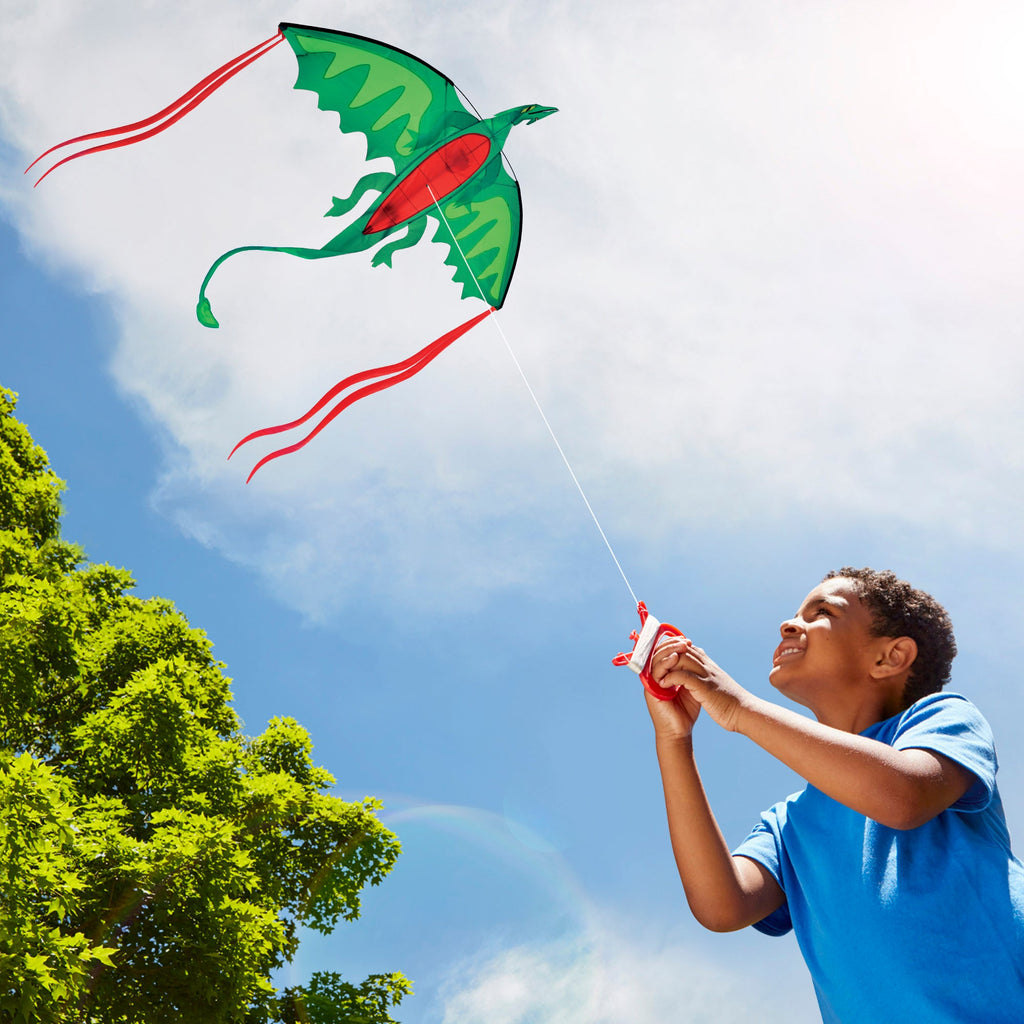 Educational Winged Dragon Shaped Kite
