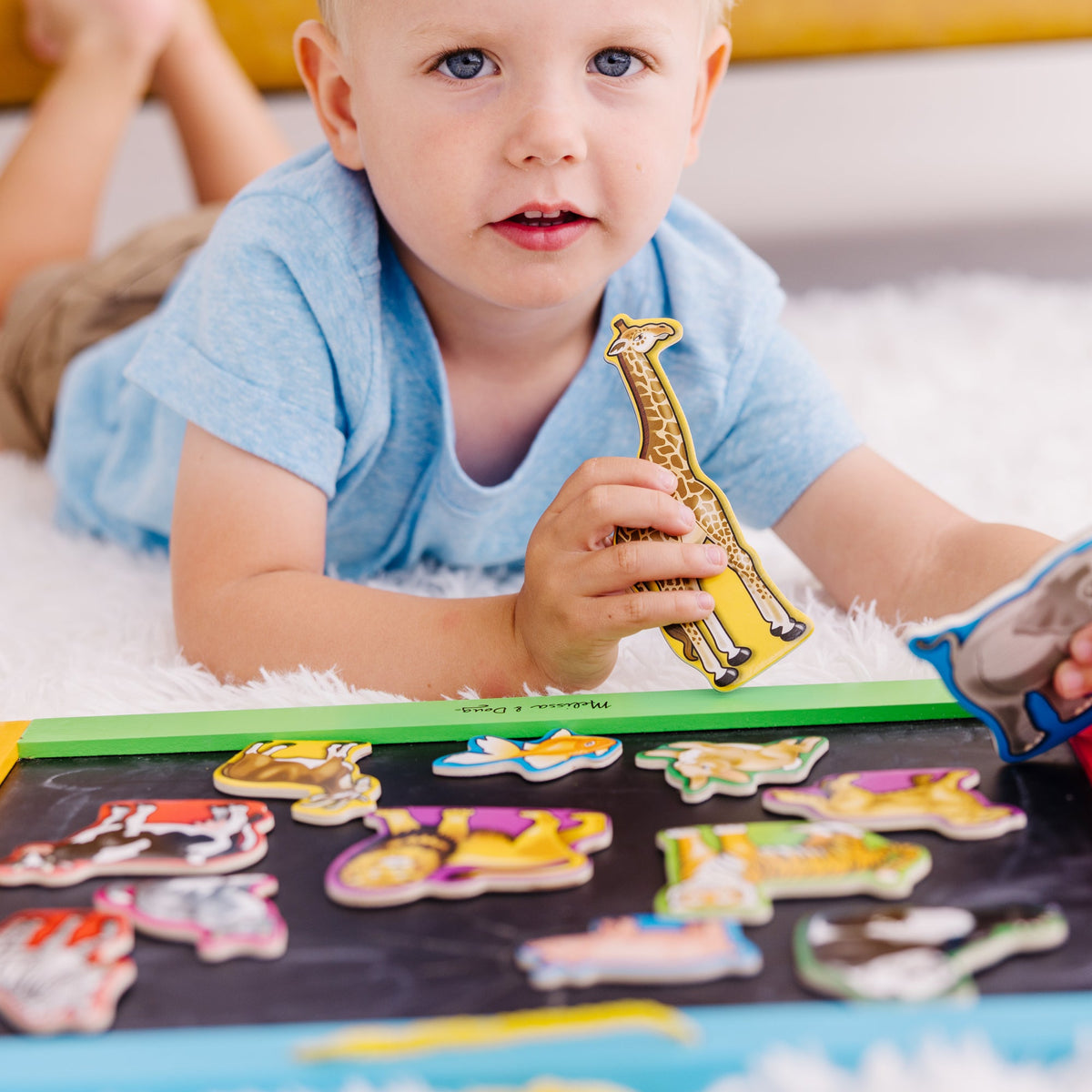 Educational Wooden Animal Magnets