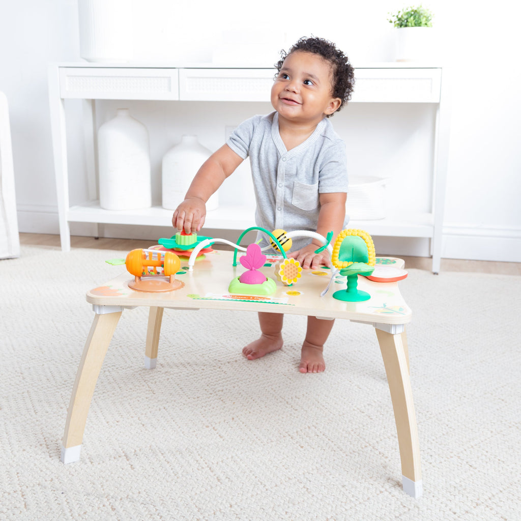 Educational Farmers Market 3 in 1 Activity Center