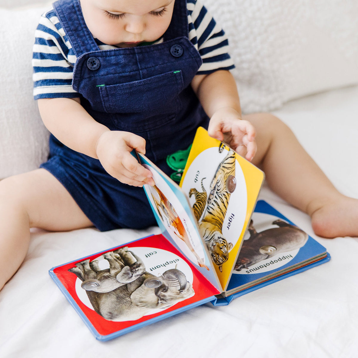 Educational Poke-a-Dot Wild Animal Families Board Book
