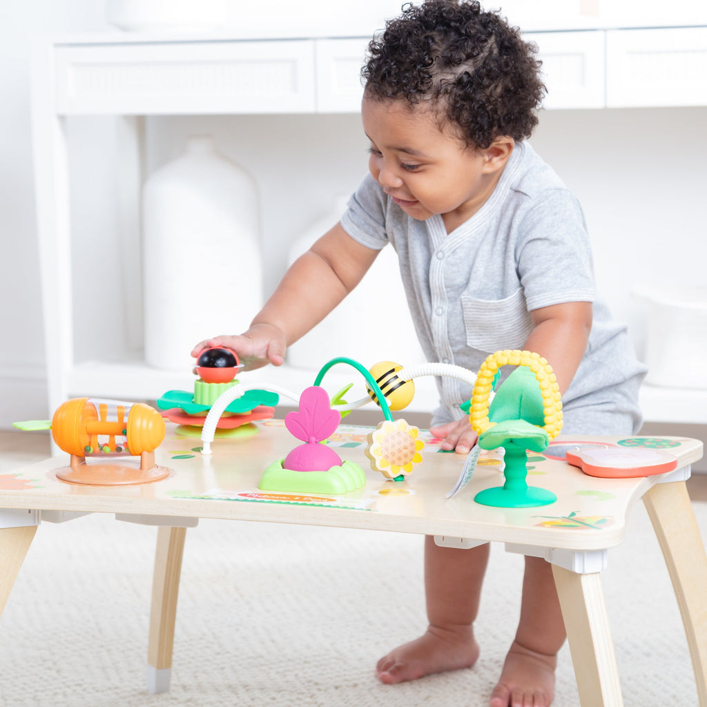 Educational Farmers Market 3 in 1 Activity Center