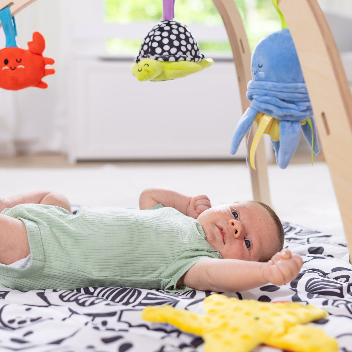 Educational Ocean Easy-Fold Play Gym