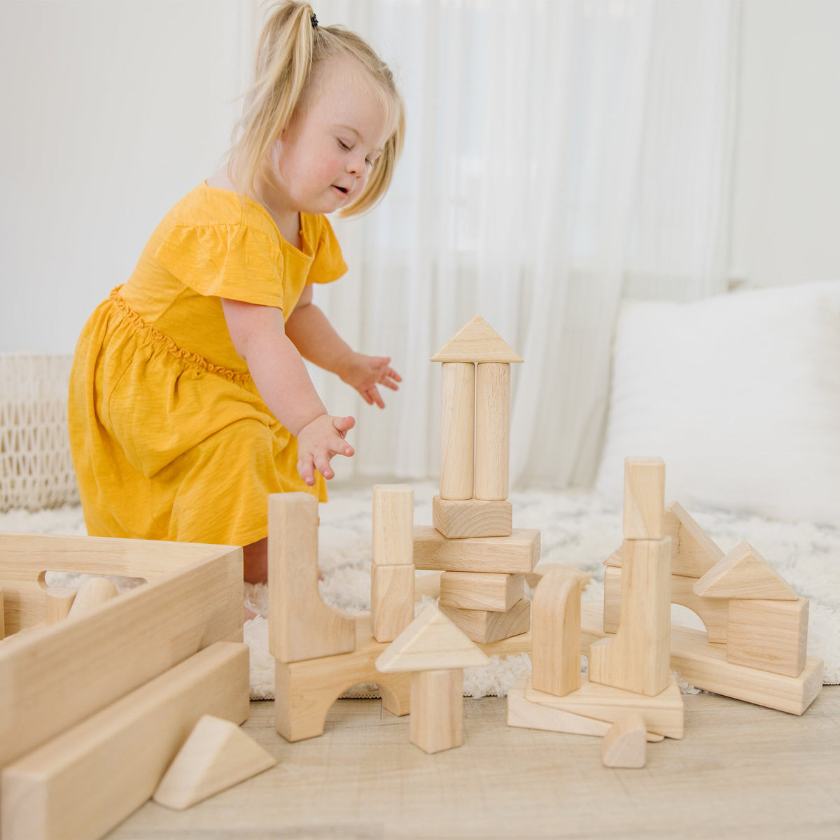 Educational Standard Unit Blocks