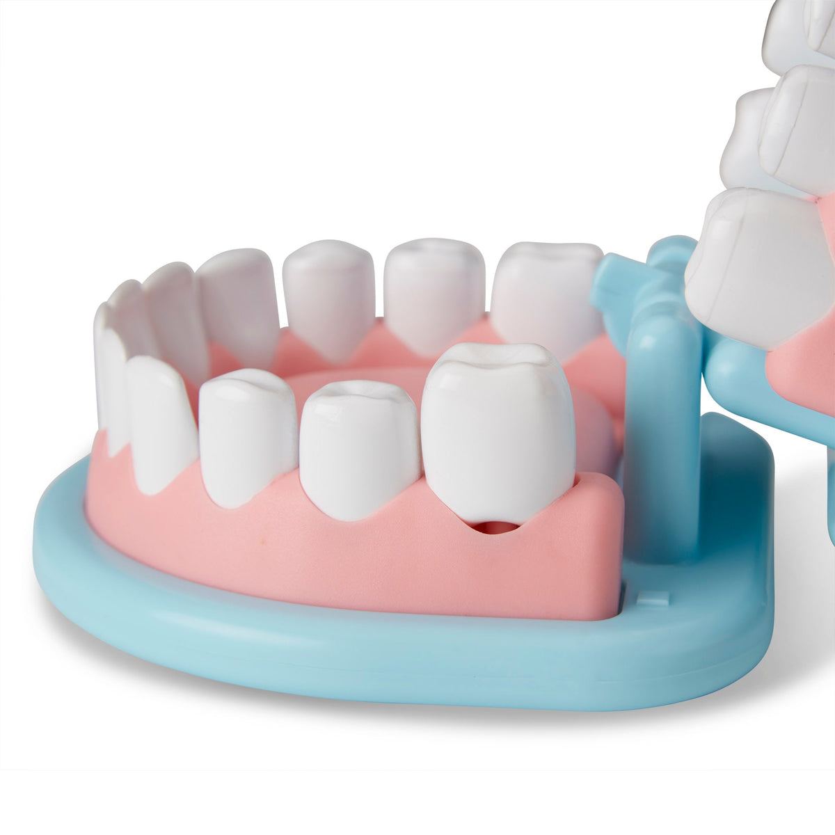 Educational Super Smile Dentist Play Set