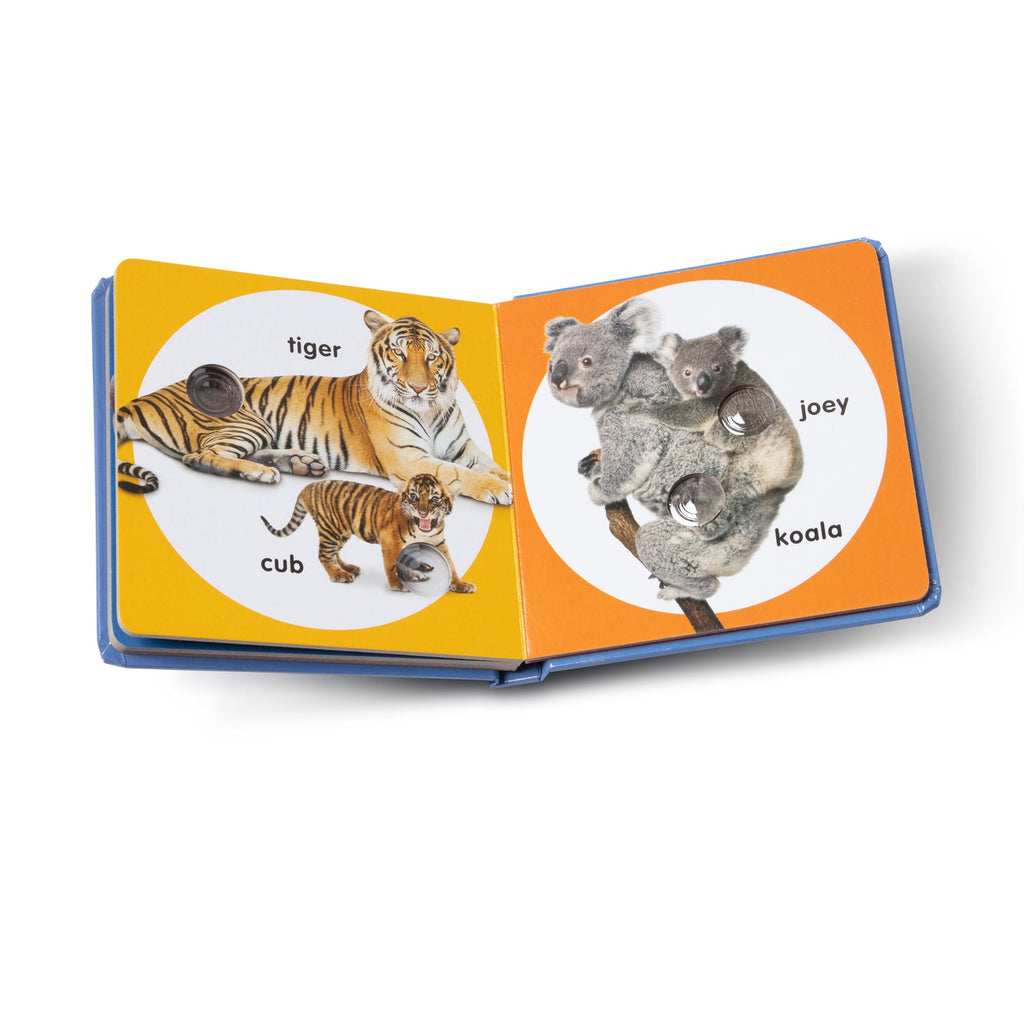 Educational Poke-a-Dot Wild Animal Families Board Book
