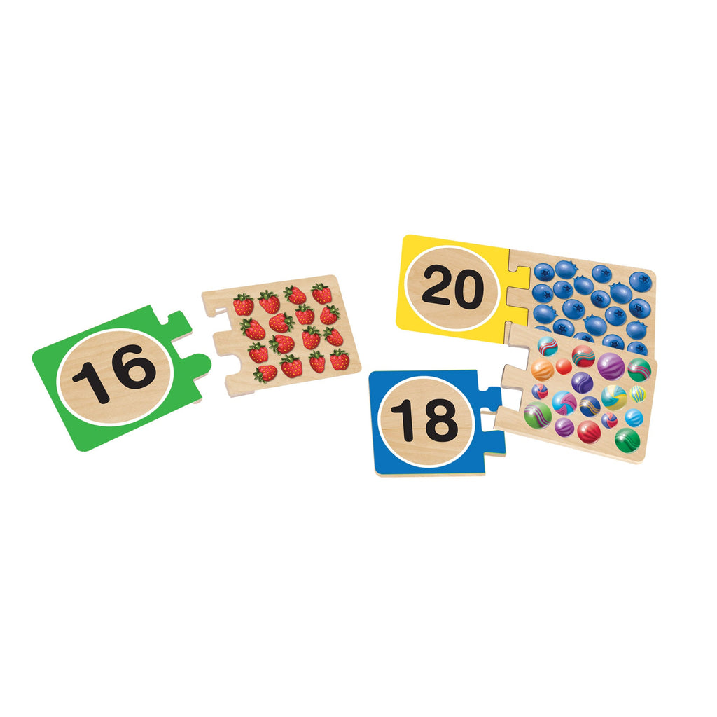 Educational Self-Correcting Number Puzzles
