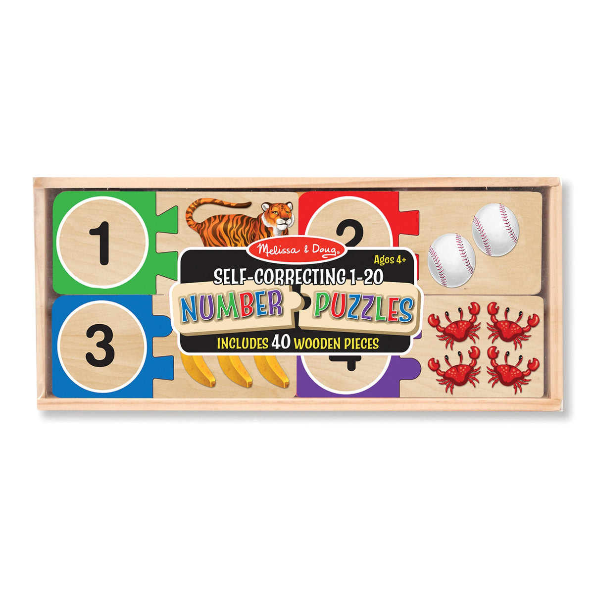 Educational Self-Correcting Number Puzzles