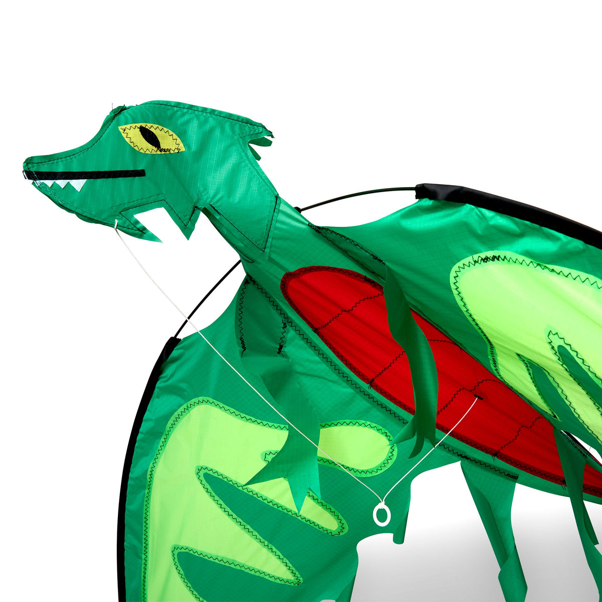 Educational Winged Dragon Shaped Kite
