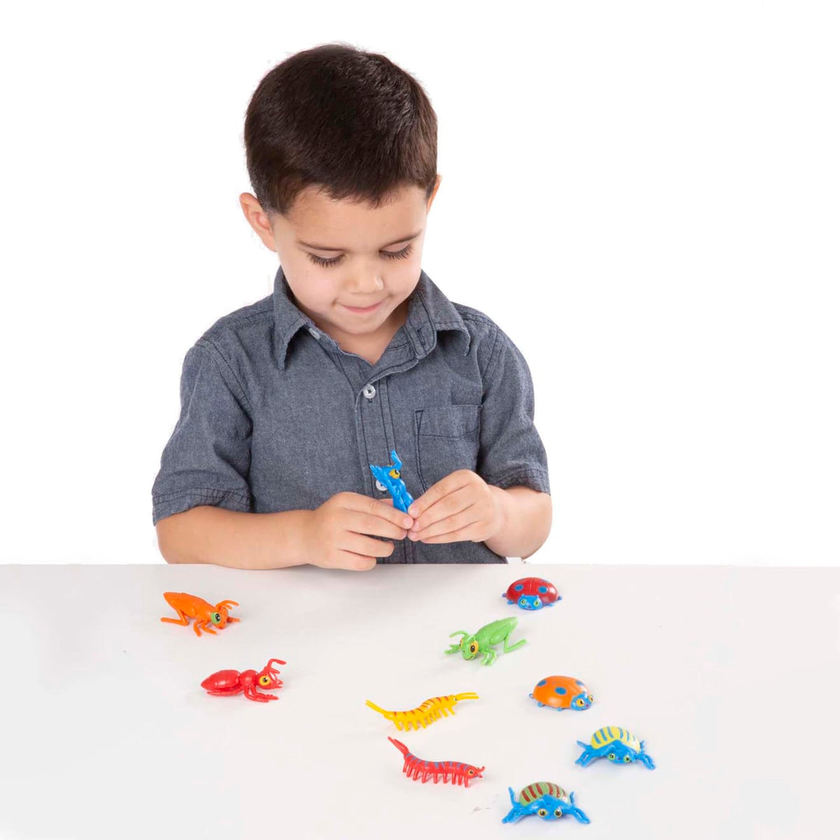 Educational Bag of Bugs