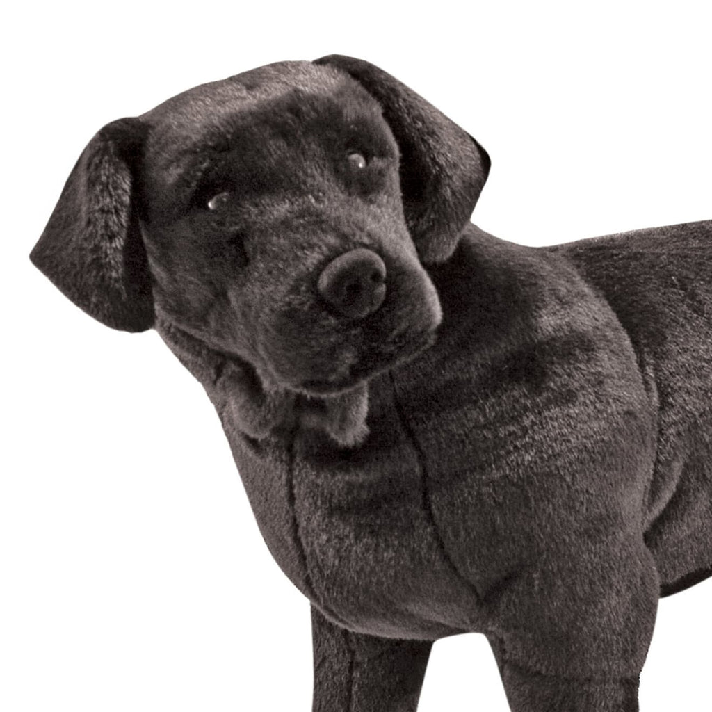 Educational Black Lab Giant Stuffed Animal