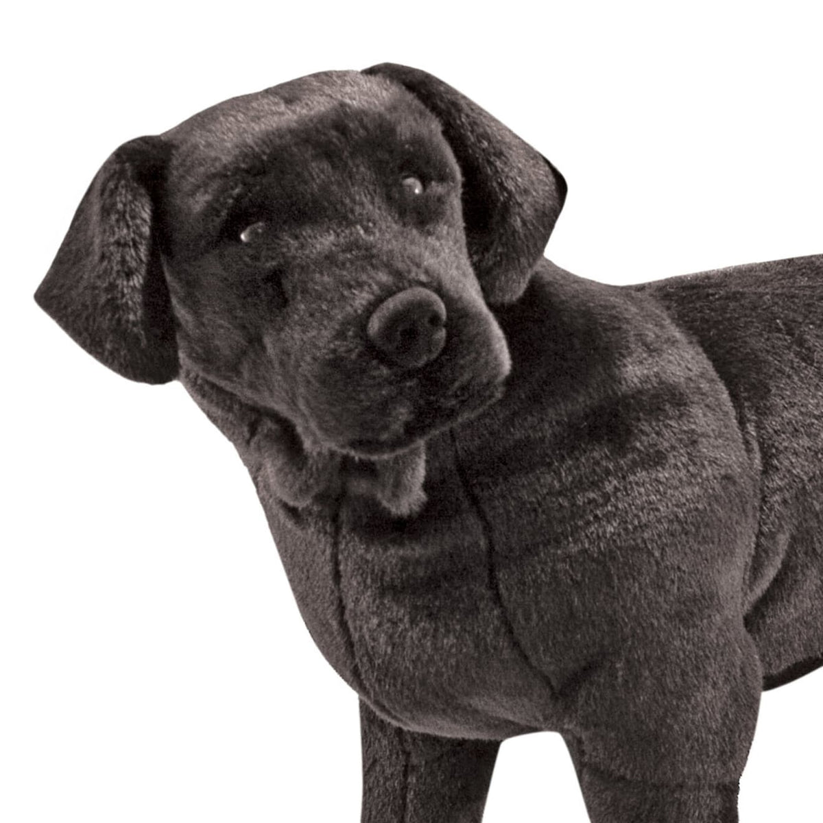 Educational Black Lab Giant Stuffed Animal