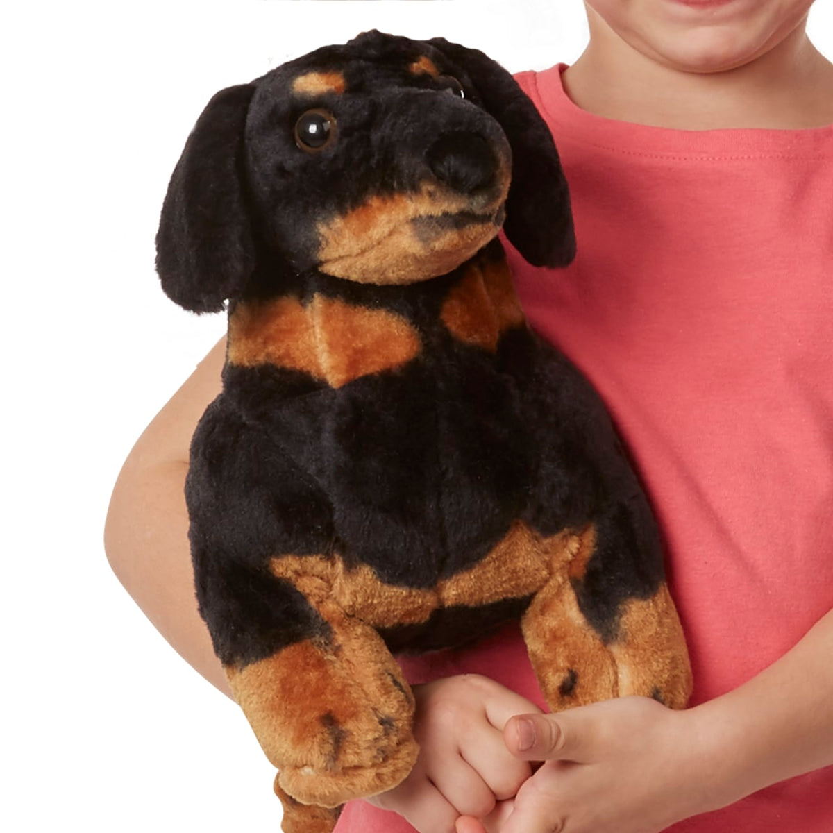Educational Dachshund Dog Giant Stuffed Animal