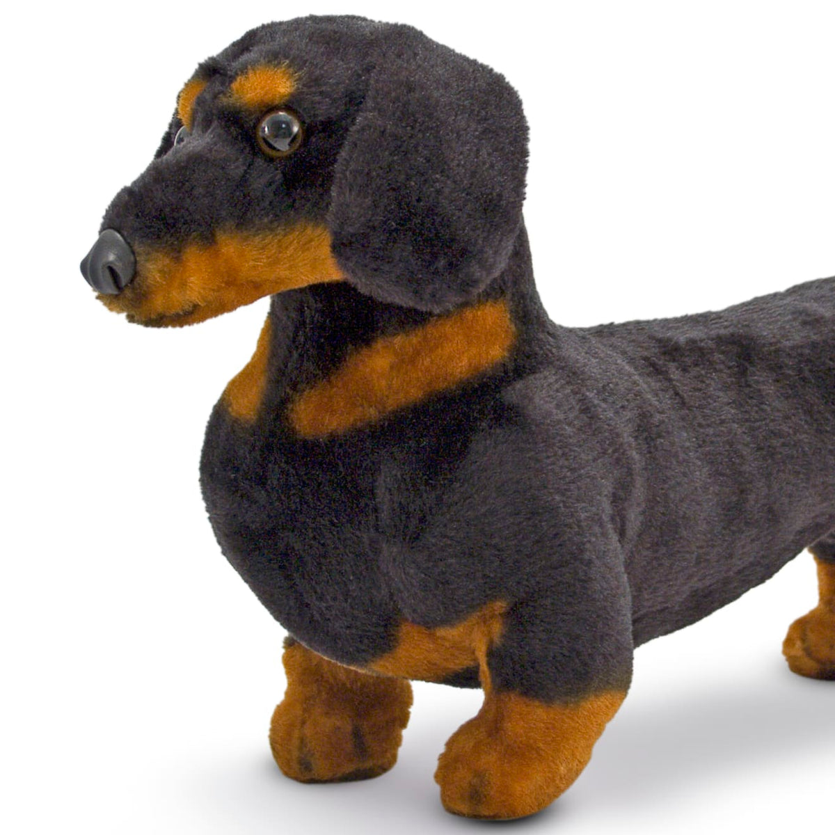 Educational Dachshund Dog Giant Stuffed Animal