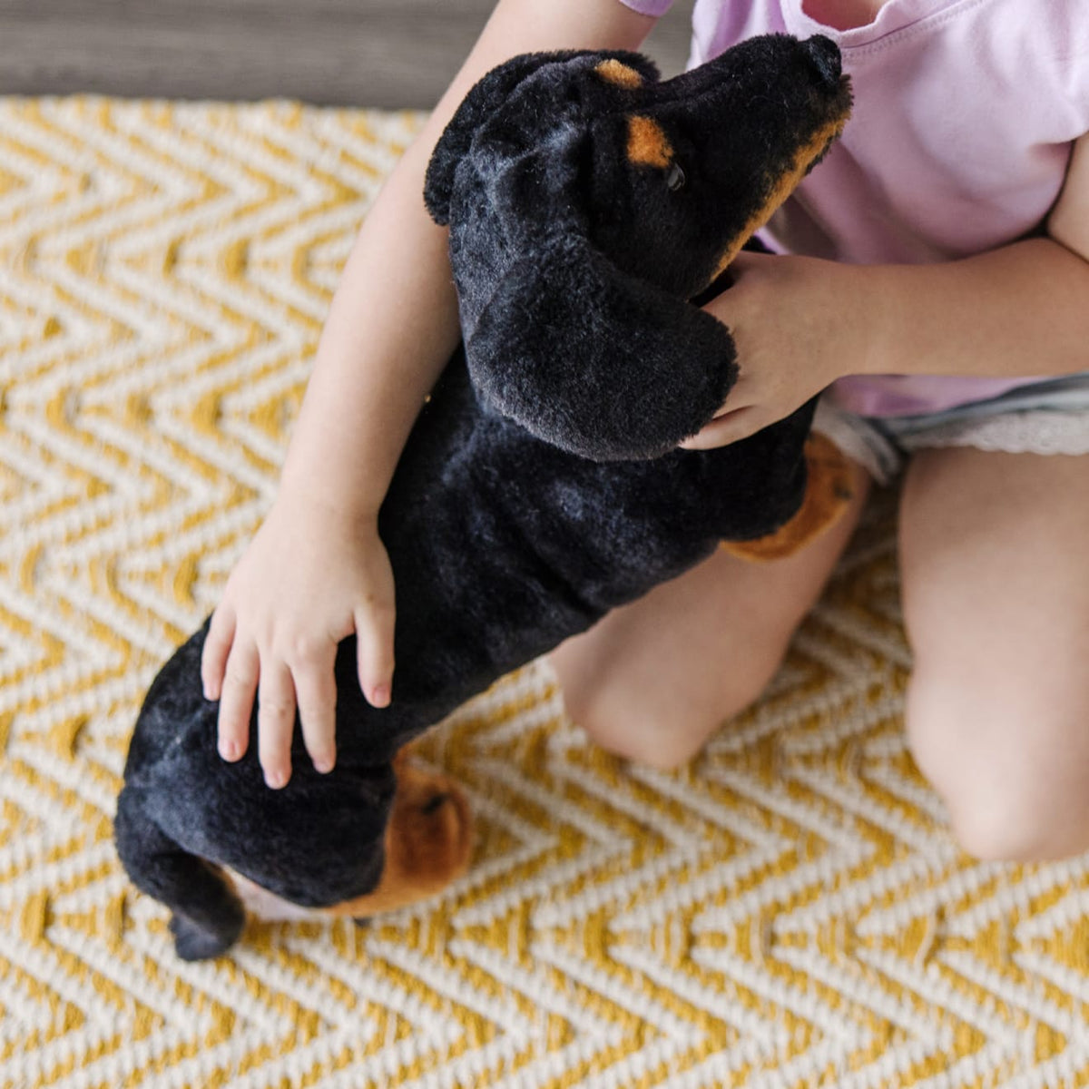 Educational Dachshund Dog Giant Stuffed Animal