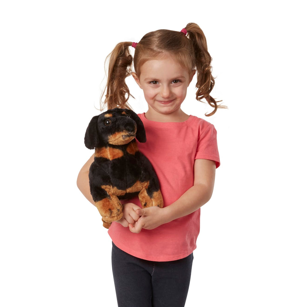 Educational Dachshund Dog Giant Stuffed Animal