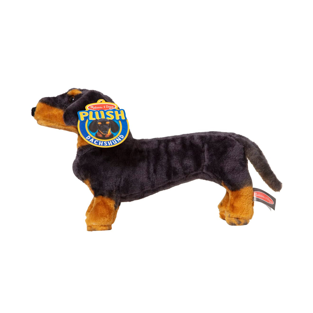 Educational Dachshund Dog Giant Stuffed Animal