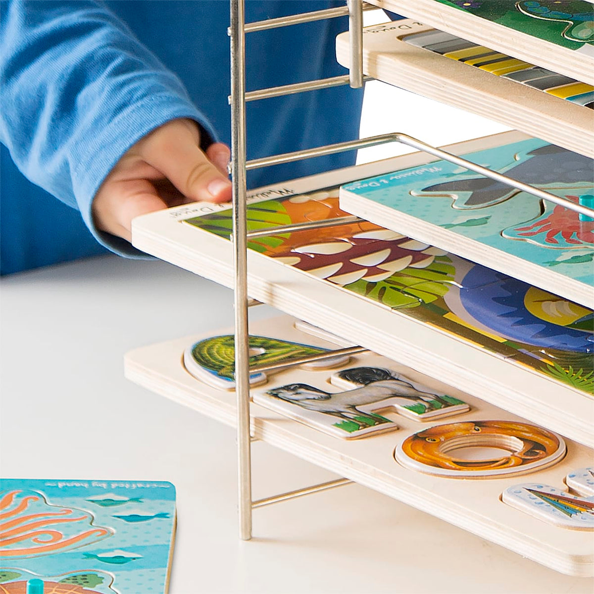 Educational Deluxe Wire Puzzle Rack