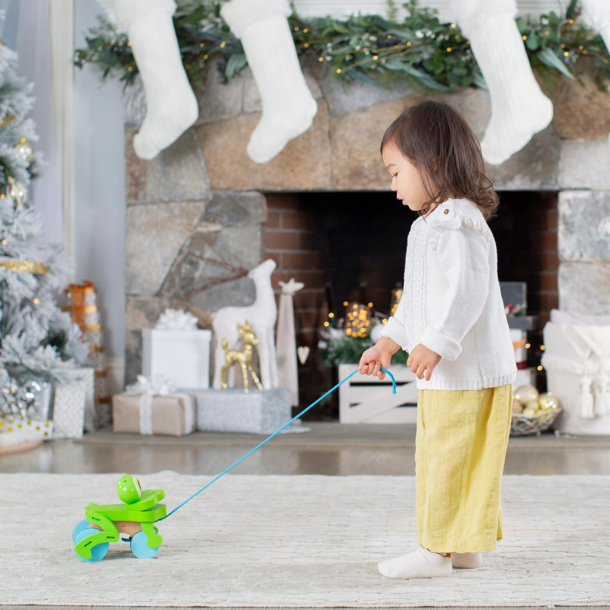 Educational First Play Frolicking Frog Wooden Pull Toy