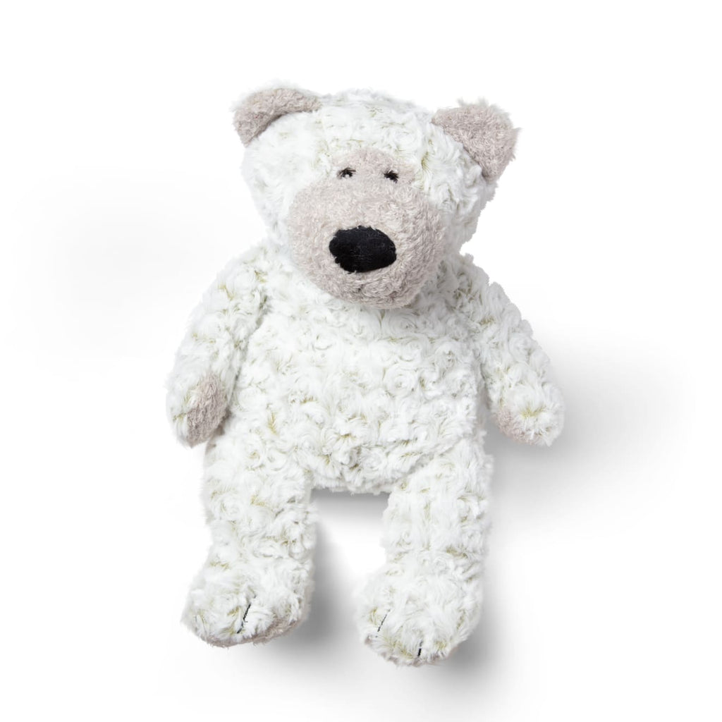 Educational Greyson Bear Stuffed Animal