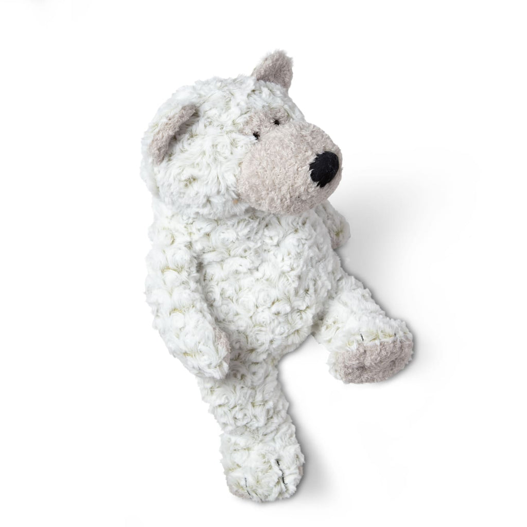 Educational Greyson Bear Stuffed Animal