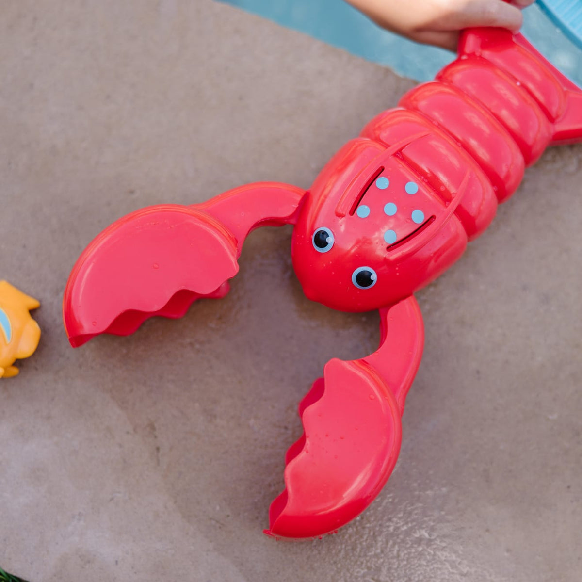 Educational Louie Lobster Claw Catcher Pool Toy
