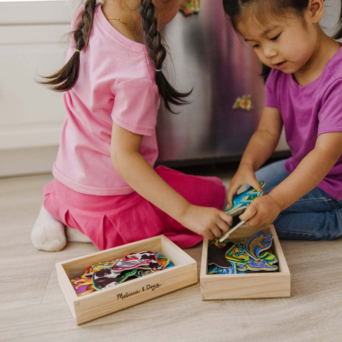 Educational Wooden Magnets Bundle - Animals and Dinosaurs