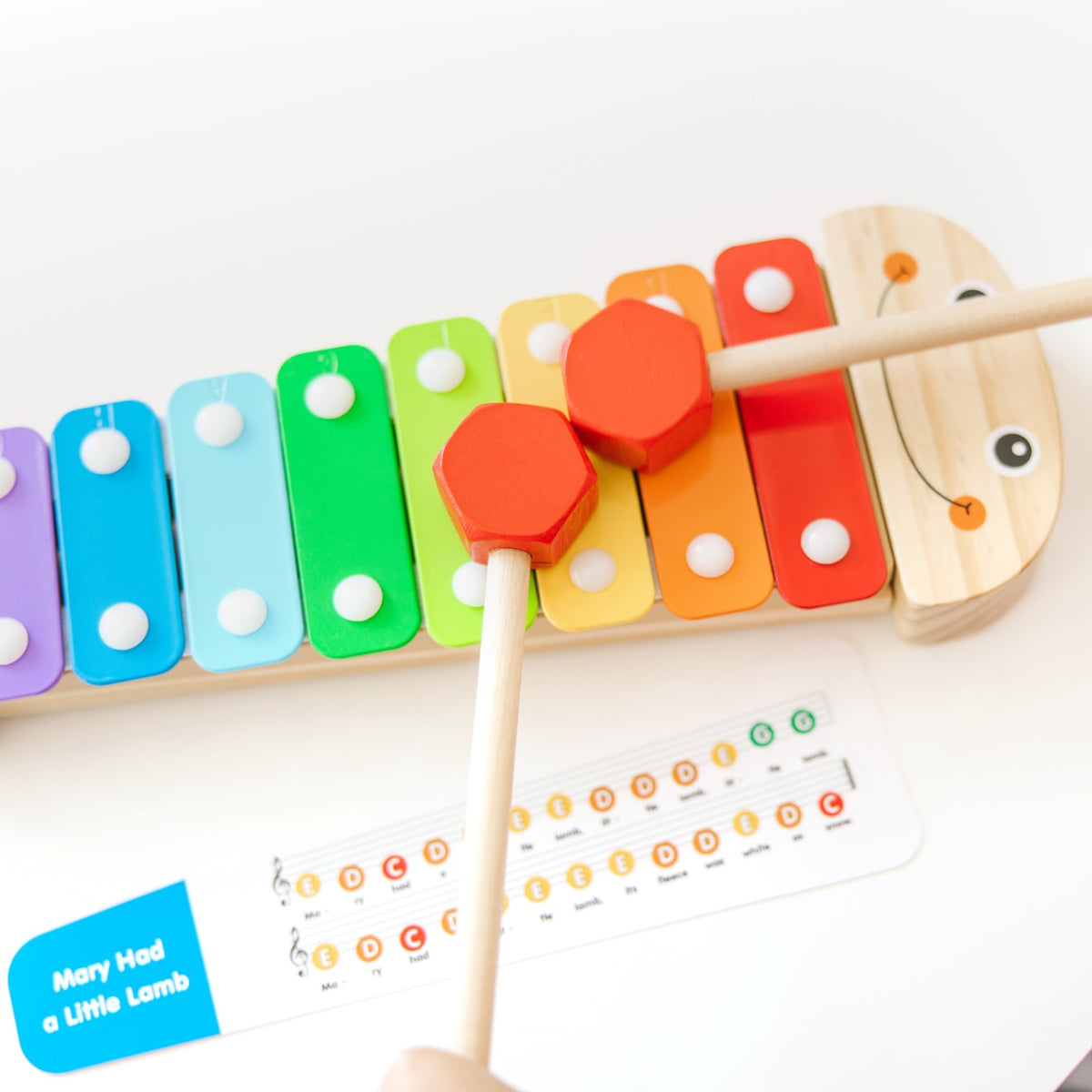 Educational Caterpillar Xylophone