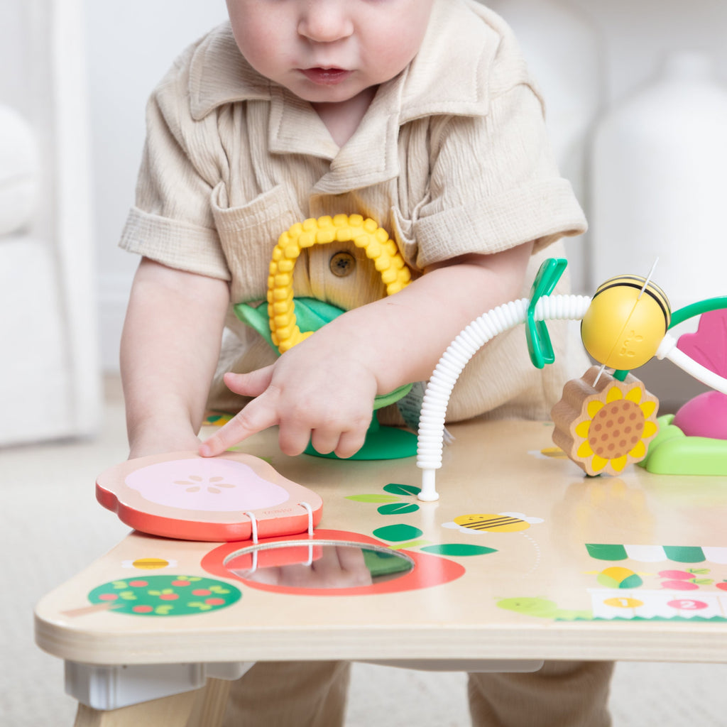 Educational Farmers Market 3 in 1 Activity Center