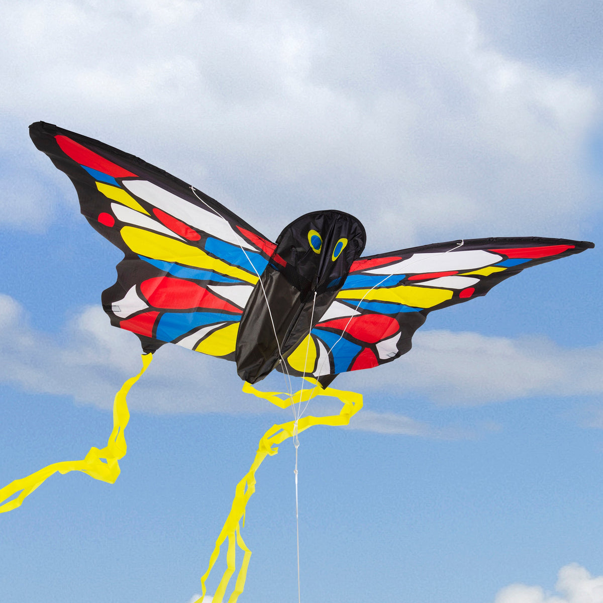 Educational Beautiful Butterfly Kite