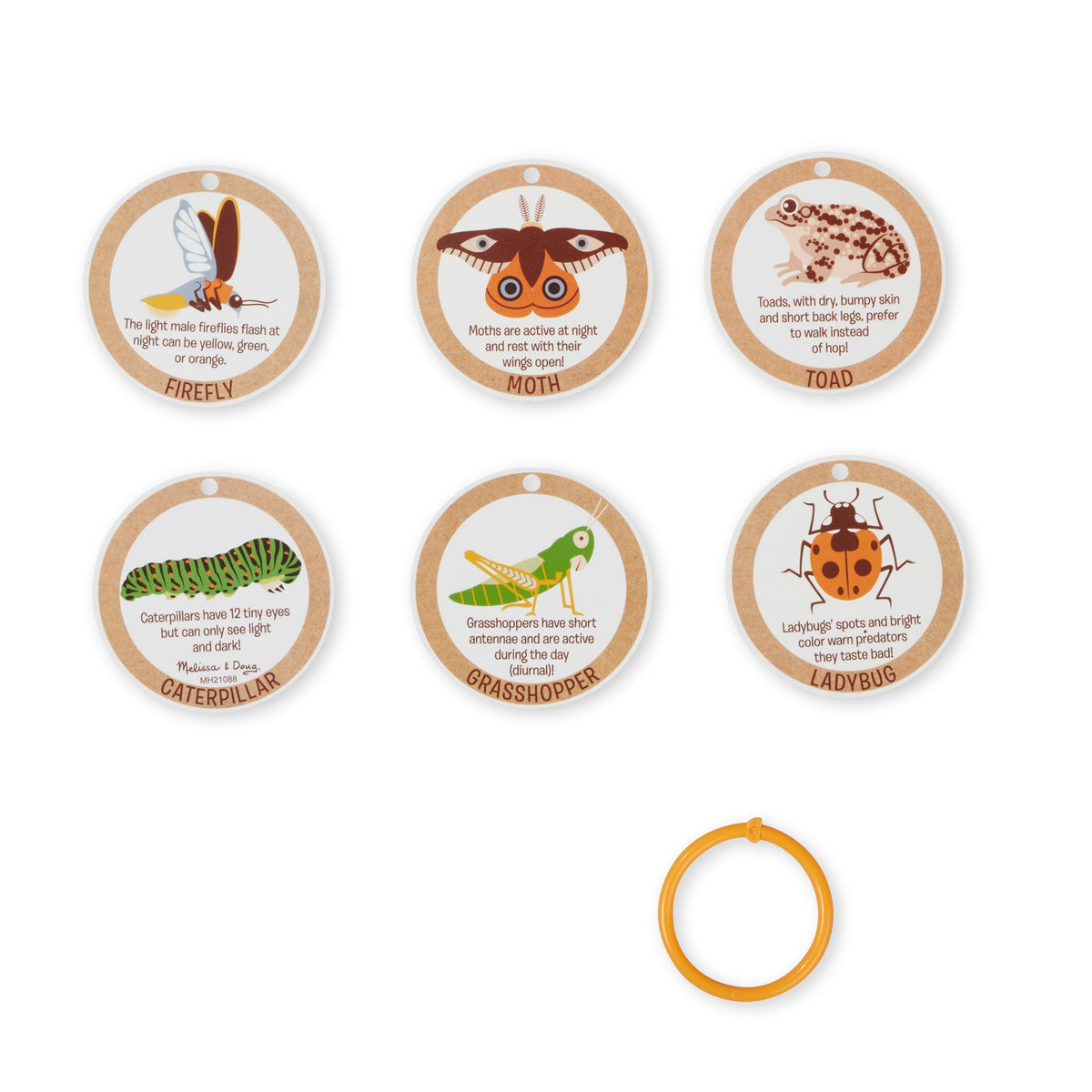 Educational Lets Explore Terrarium Observations Play Set