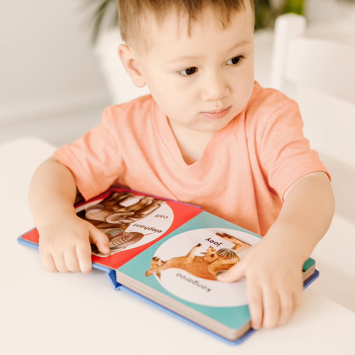 Educational Poke-a-Dot Wild Animal Families Board Book