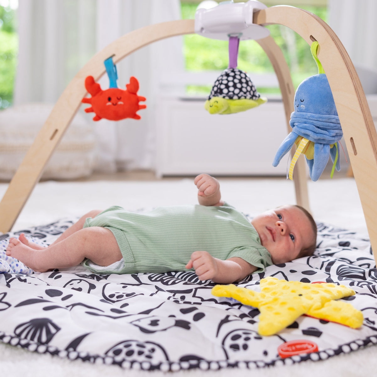 Educational Ocean Easy-Fold Play Gym