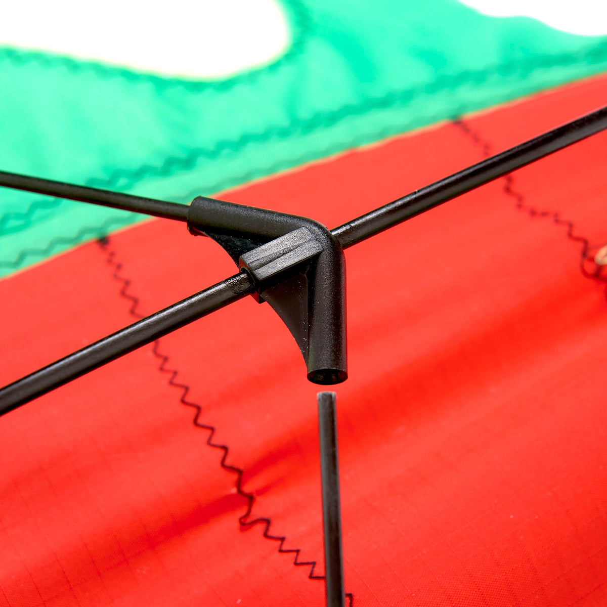 Educational Winged Dragon Shaped Kite