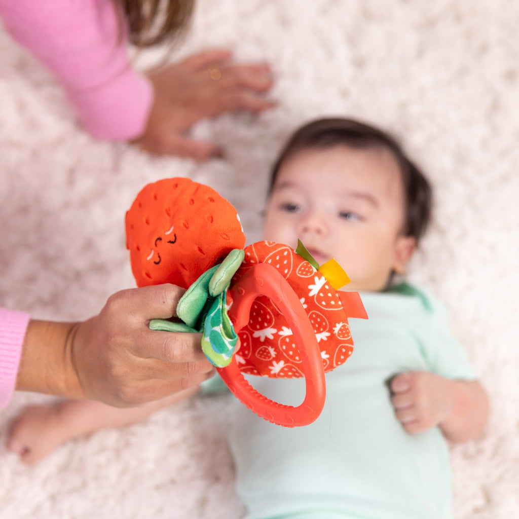 Educational Peek-a-Boo Berry Take-Along Toy