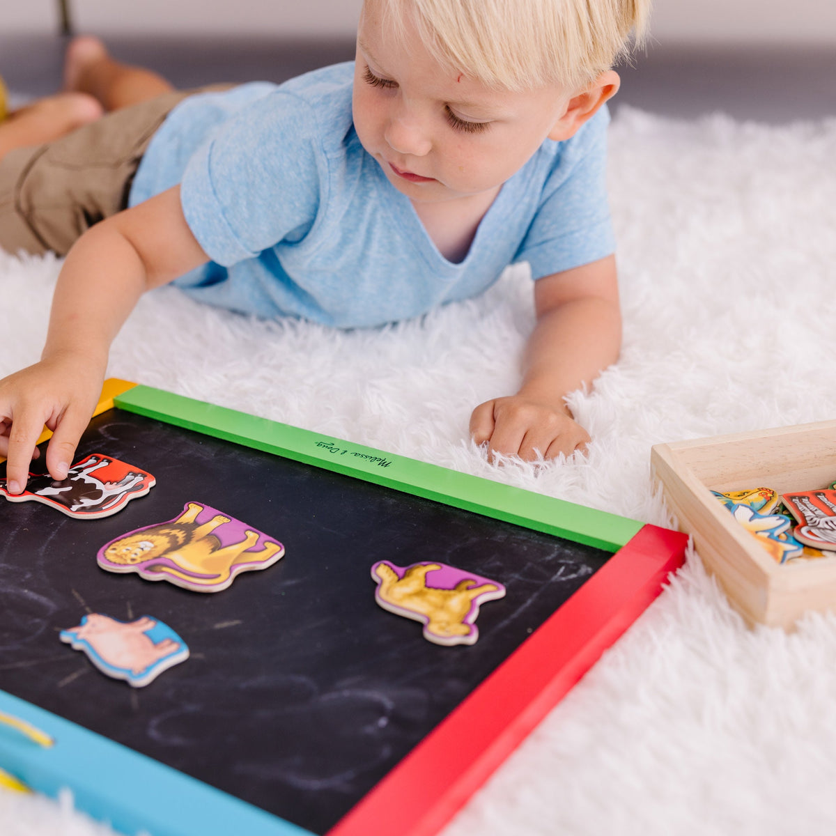 Educational Wooden Animal Magnets