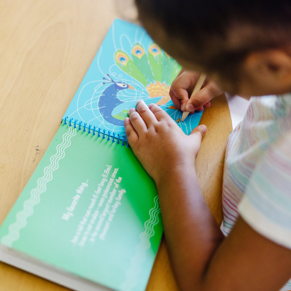 Educational On the Go Scratch Art Picture Reveal Pad - Favorite Things