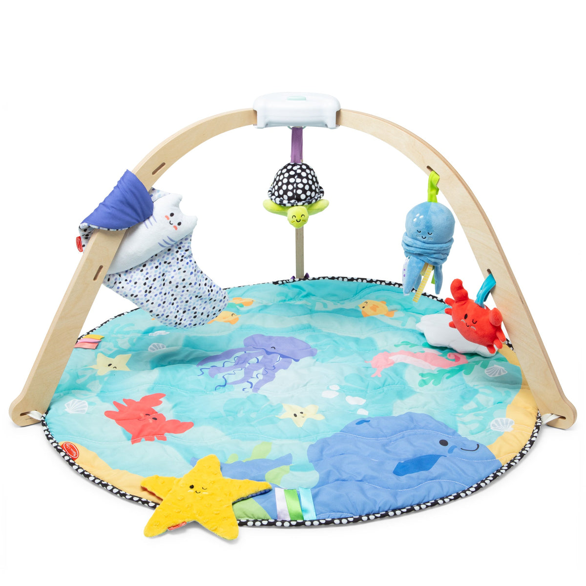Educational Ocean Easy-Fold Play Gym